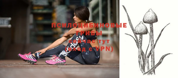 хмурый Зеленокумск