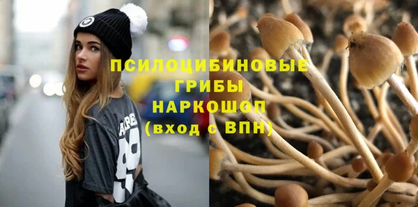 хмурый Зеленокумск